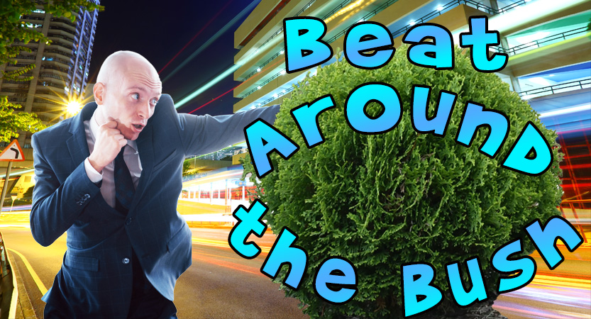 beat around the bush idiom