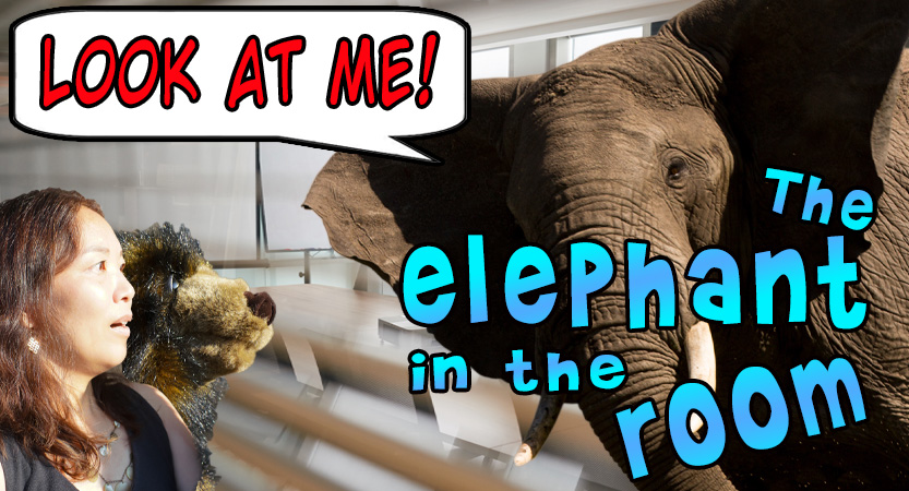 English Stripped Bare - B. Bearington & Naomi - Idioms The Elephant in the Room