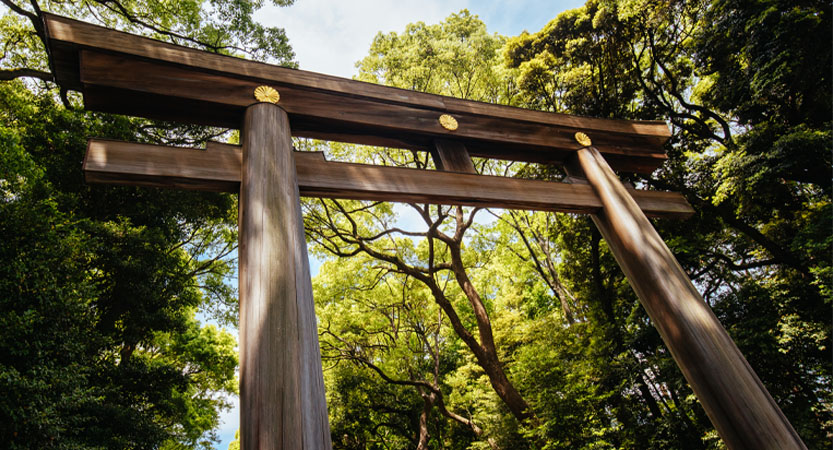 English Stripped Bare - B. Bearington & Naomi Culture: Meiji Shrine