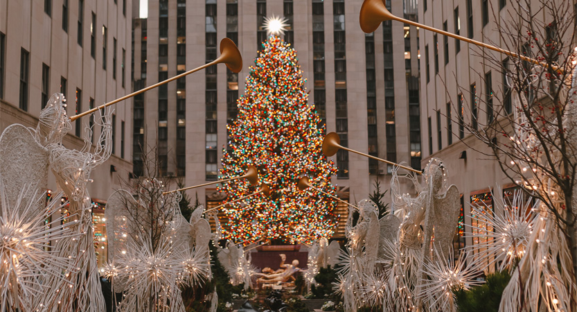 English Stripped Bare - B. Bearington & Naomi Idiom: Light Up Like a Christmas Tree