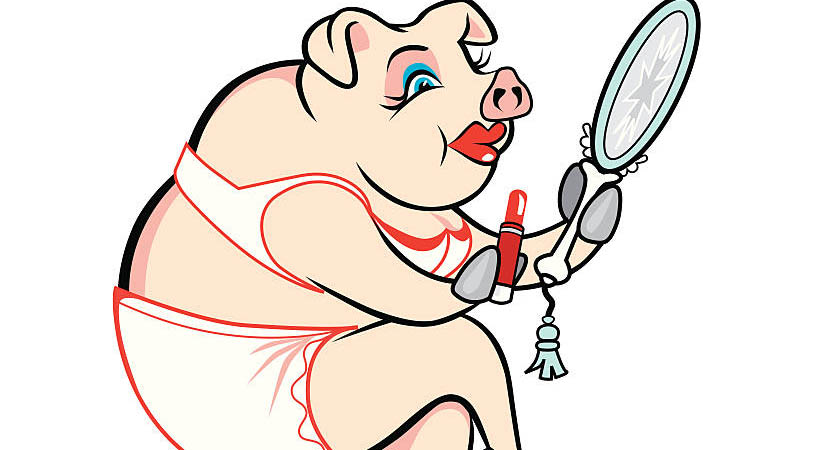 English Stripped Bare - B. Bearington & Naomi Idiom: Lipstick on a Pig