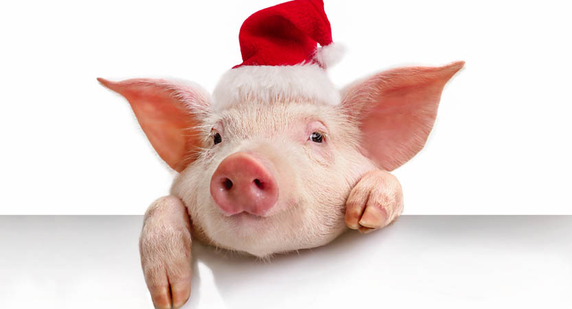 English Stripped Bare - B. Bearington & Naomi Idiom: Lipstick on a Pig